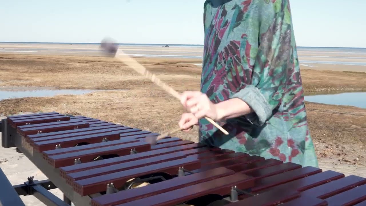 J.S. Bach - Partita in E major, BWV 1006 - on marimba