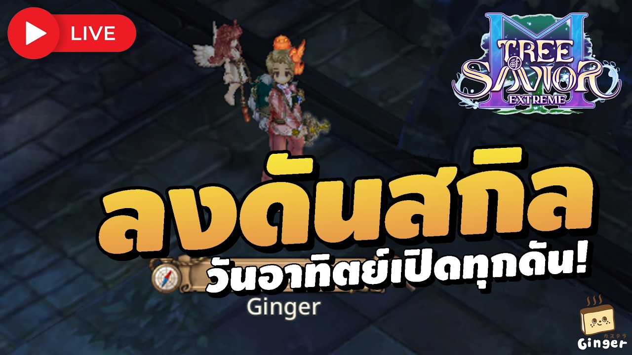 🔴 ลุยวันที่ 4 เลเวล 83 วันอาทิตย์แรก วนดันสกิลทุกดัน | Tree of Savior M