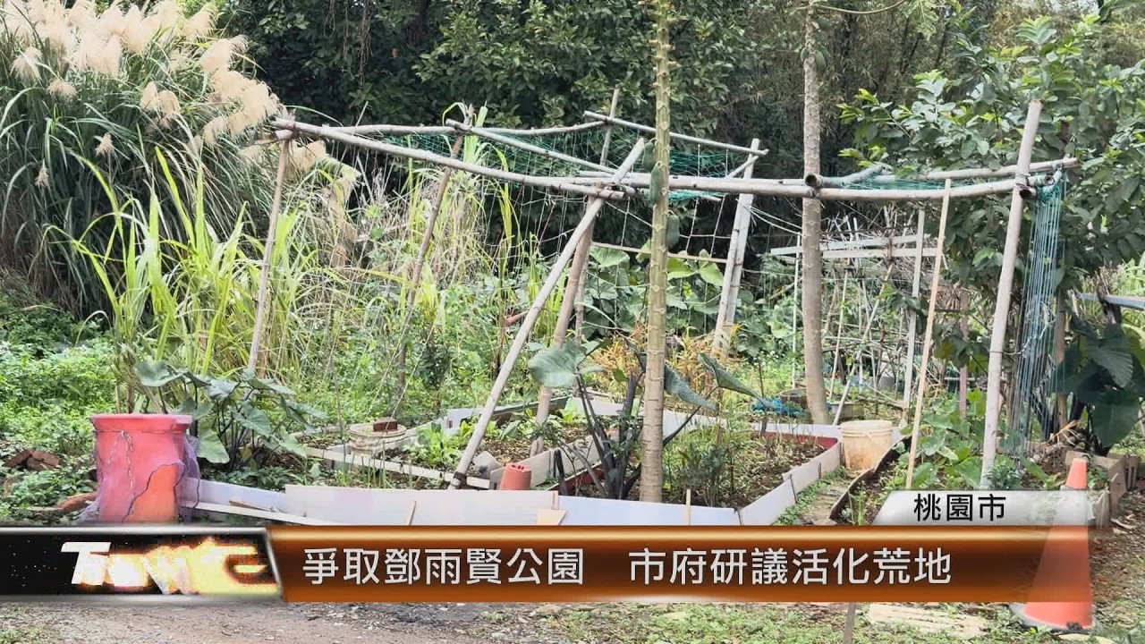 爭取鄧雨賢公園  市府研議活化荒地│T-NEWS聯播網