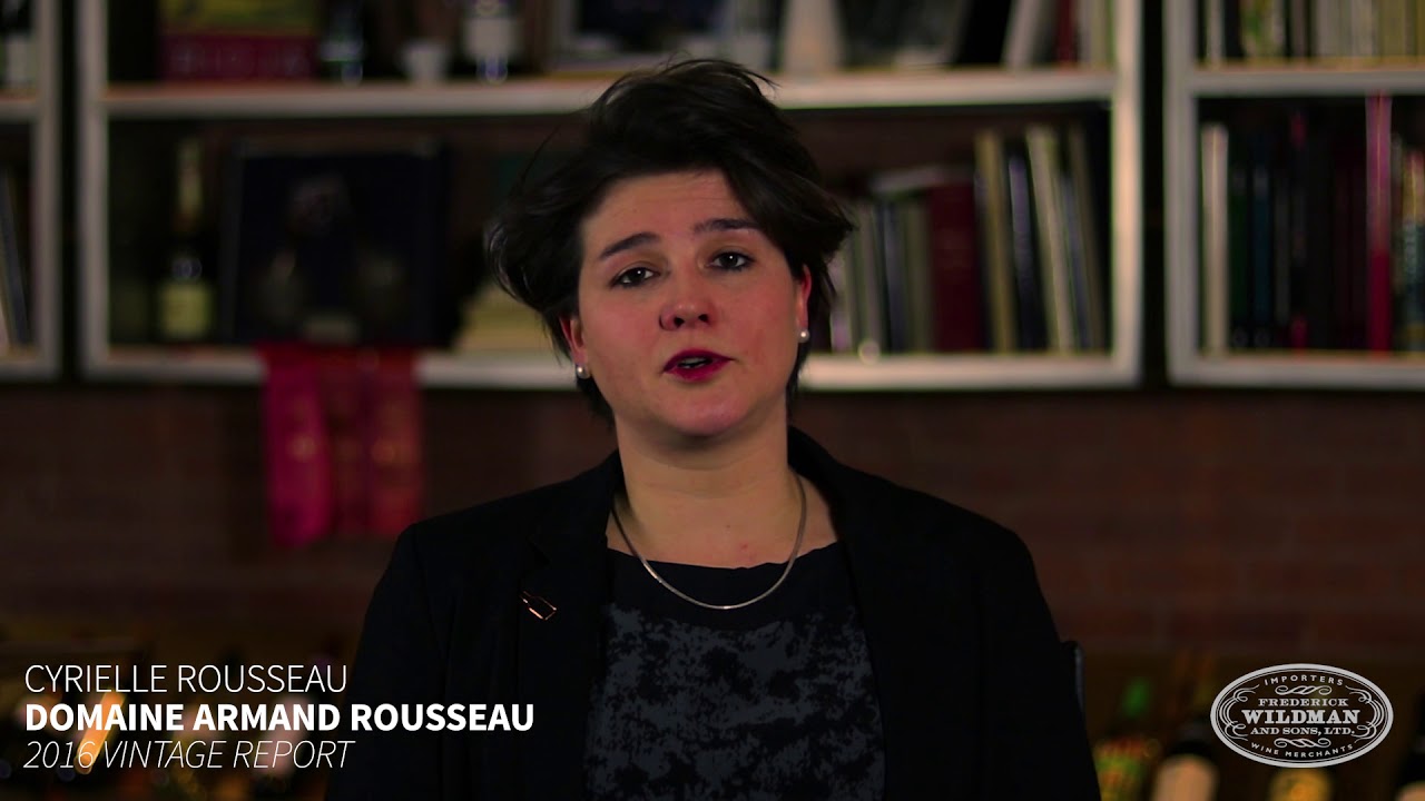 Domaine Armand Rousseau 2016 Vintage Report