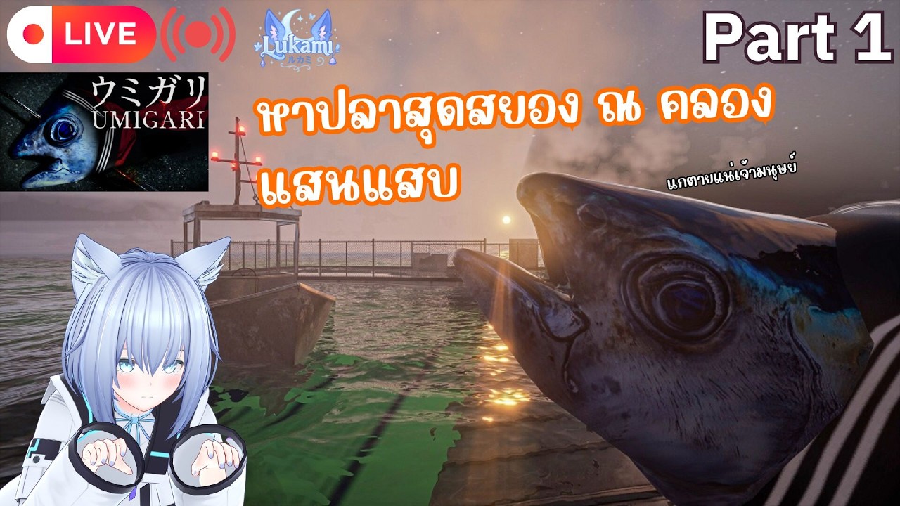[🔴Live] หาปลาสุดสยอง ณ คลองแสนแสบ | UMIGARI | ウミガリ [Part 1]