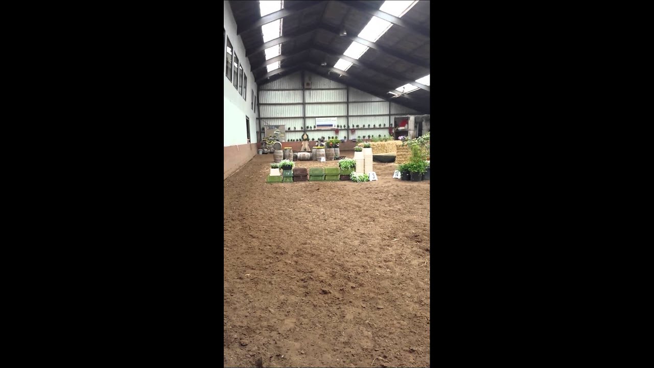 Sam en luna cross bij stal de ripse ruiters  60cm