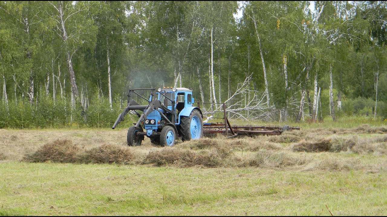 Трактор Т - 40 с граблями