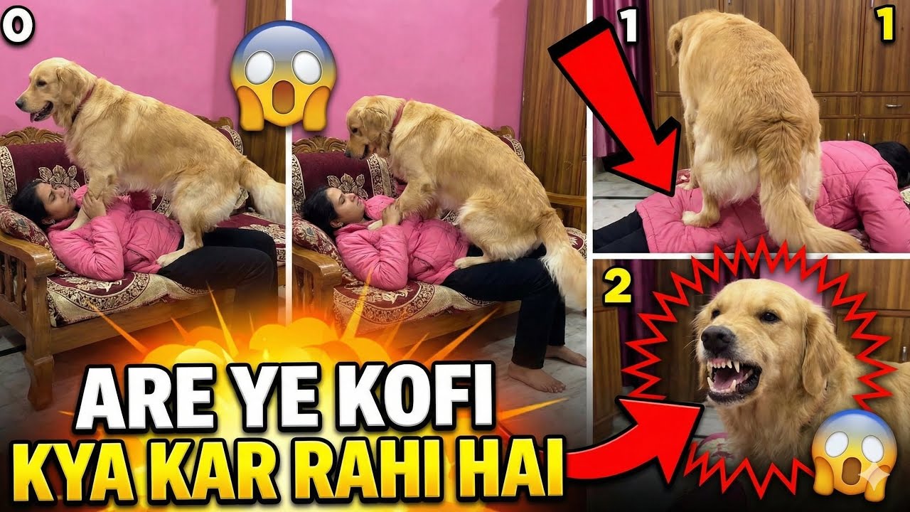 Aaj Kofi Bilkul Control Se Bahar 😂😱 Shocking Reaction 