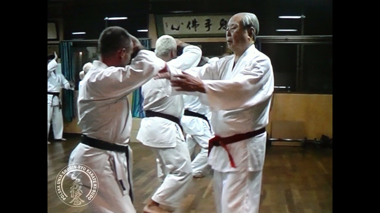 Pinan Yondan, Okinawa 2002 - Oshukai Poland