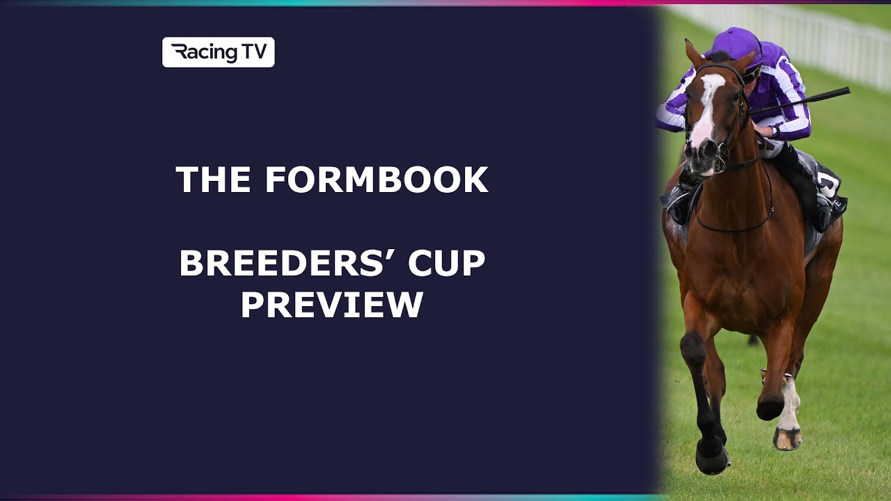 Breeders' Cup Preview & Tips | The Formbook