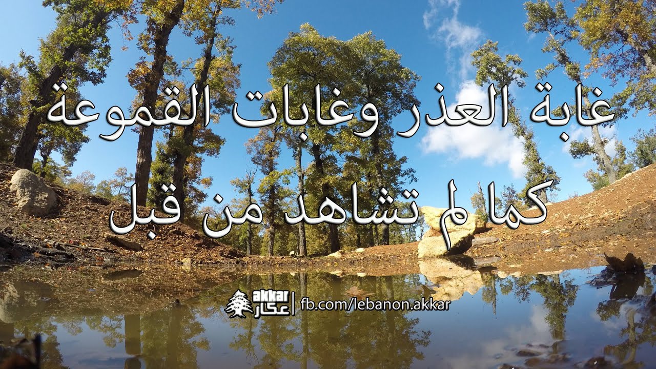 غابة العذر وغابات القموعة ترحب بكم