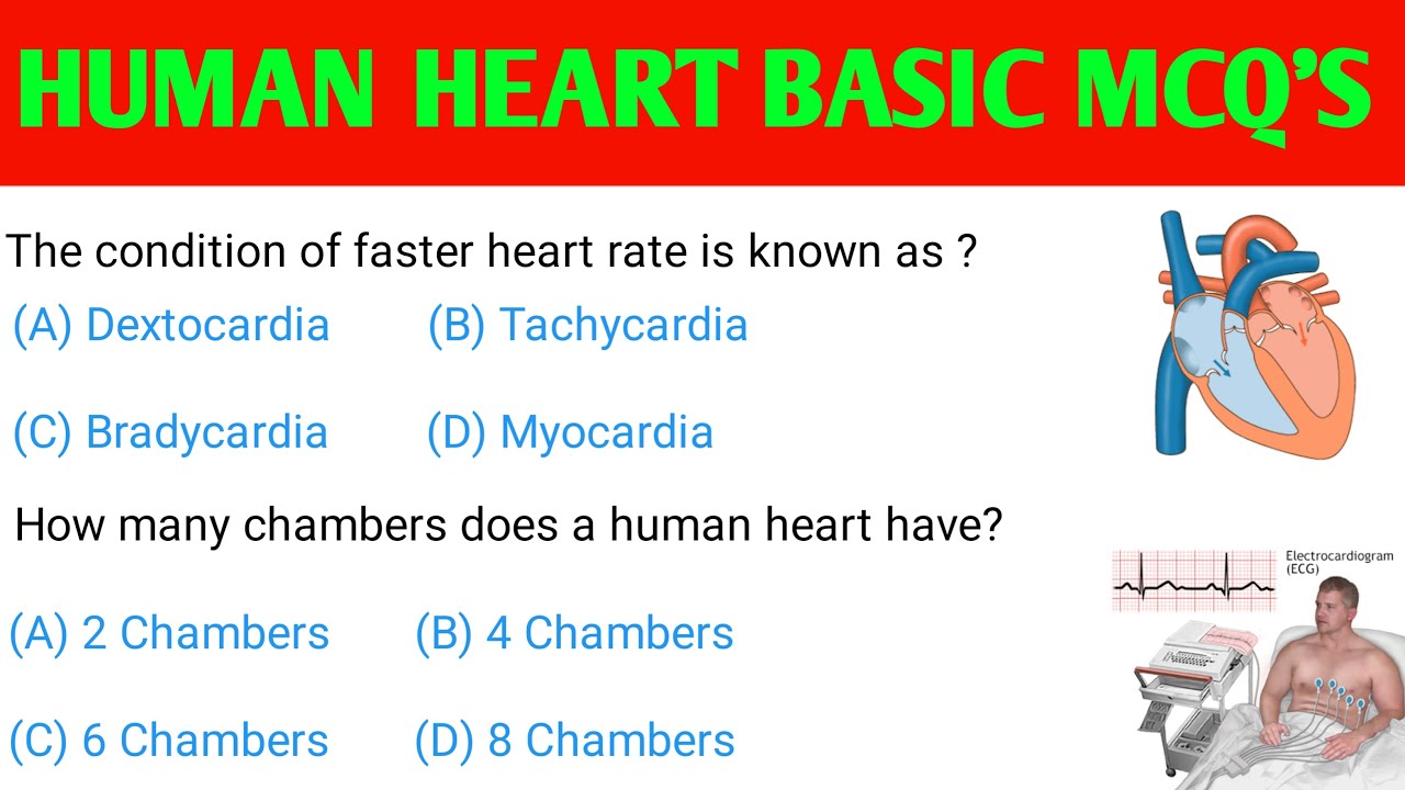 Human Heart MCQ |human heart basic mcq| |human heart|heart related questions