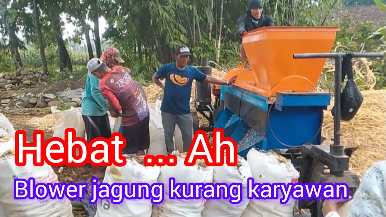 Kurangan pekerja akhirnya terjun juga #fypシ゚viral #viralvideo #kontenkreator #blowerjagung