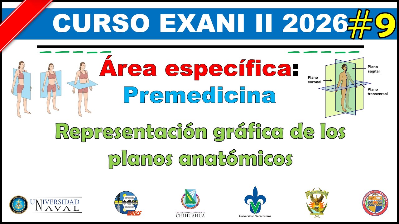 Curso EXANI II 2026 Premedicina: Representación gráfica de los planos anatómicos #9
