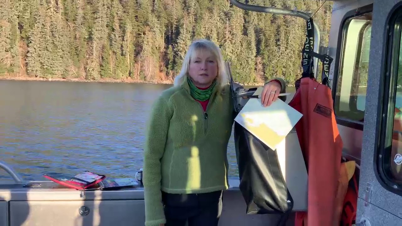 Meet Alaskan Artist Brenda Schwartz-Yeager