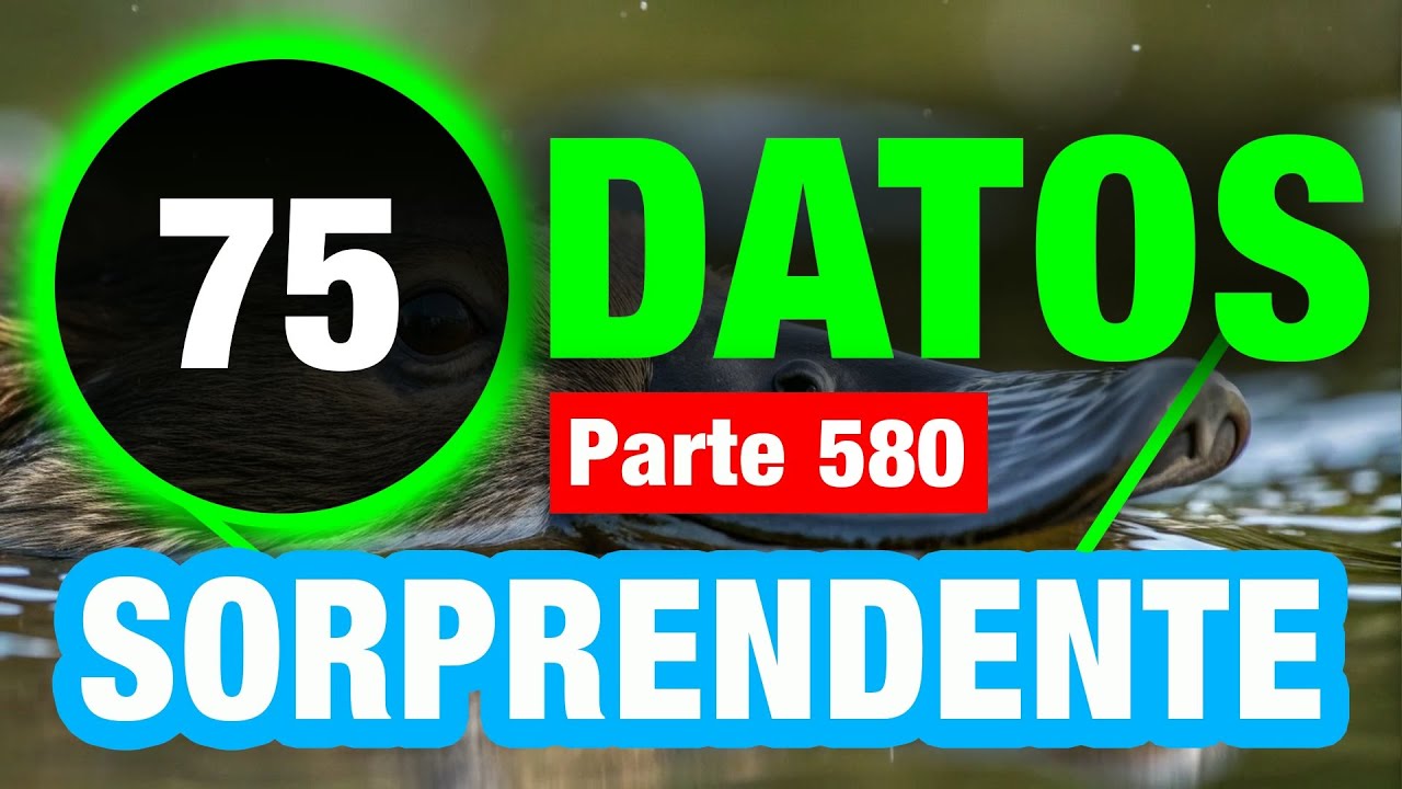 75 Datos Memorables Que No Sabías