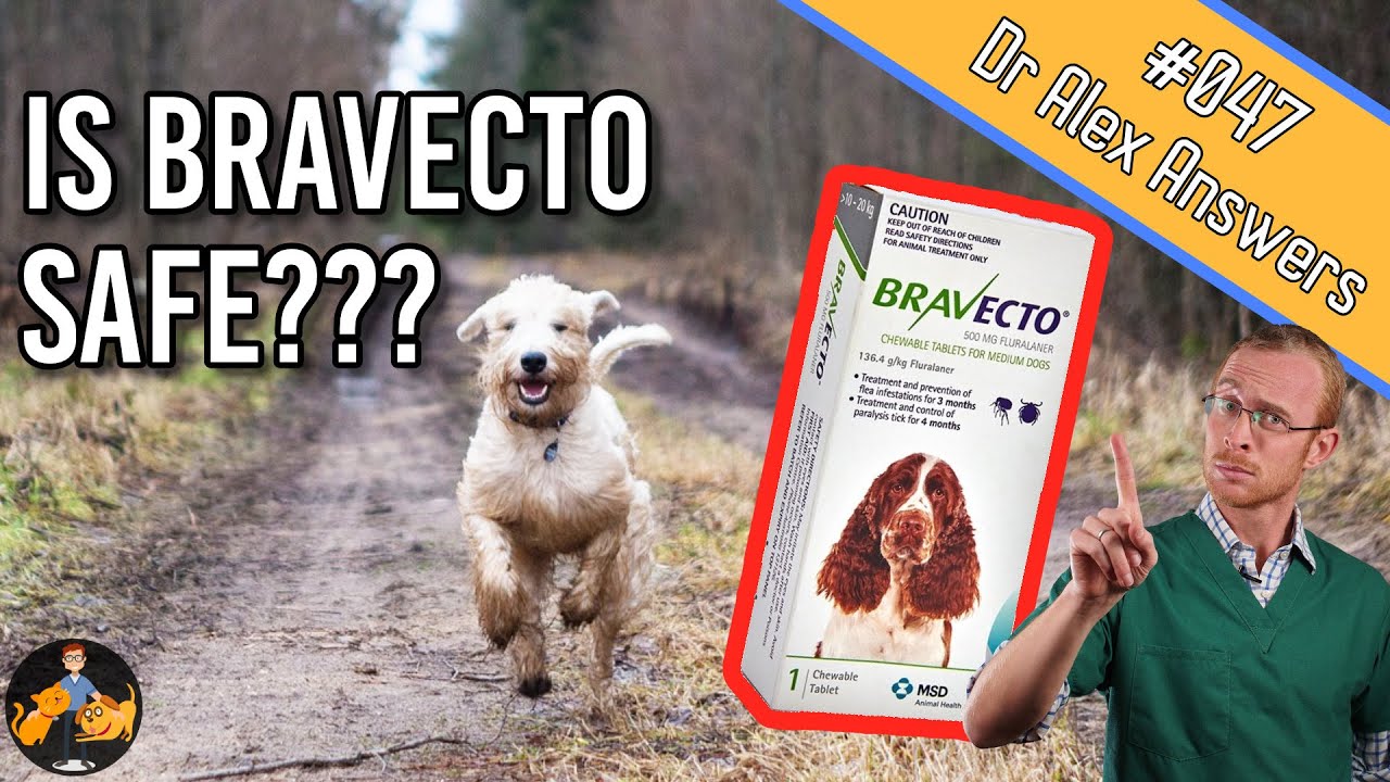 Is Bravecto Safe for Your Dog (or will it cause seizures)? - Dog Health Vet Advice