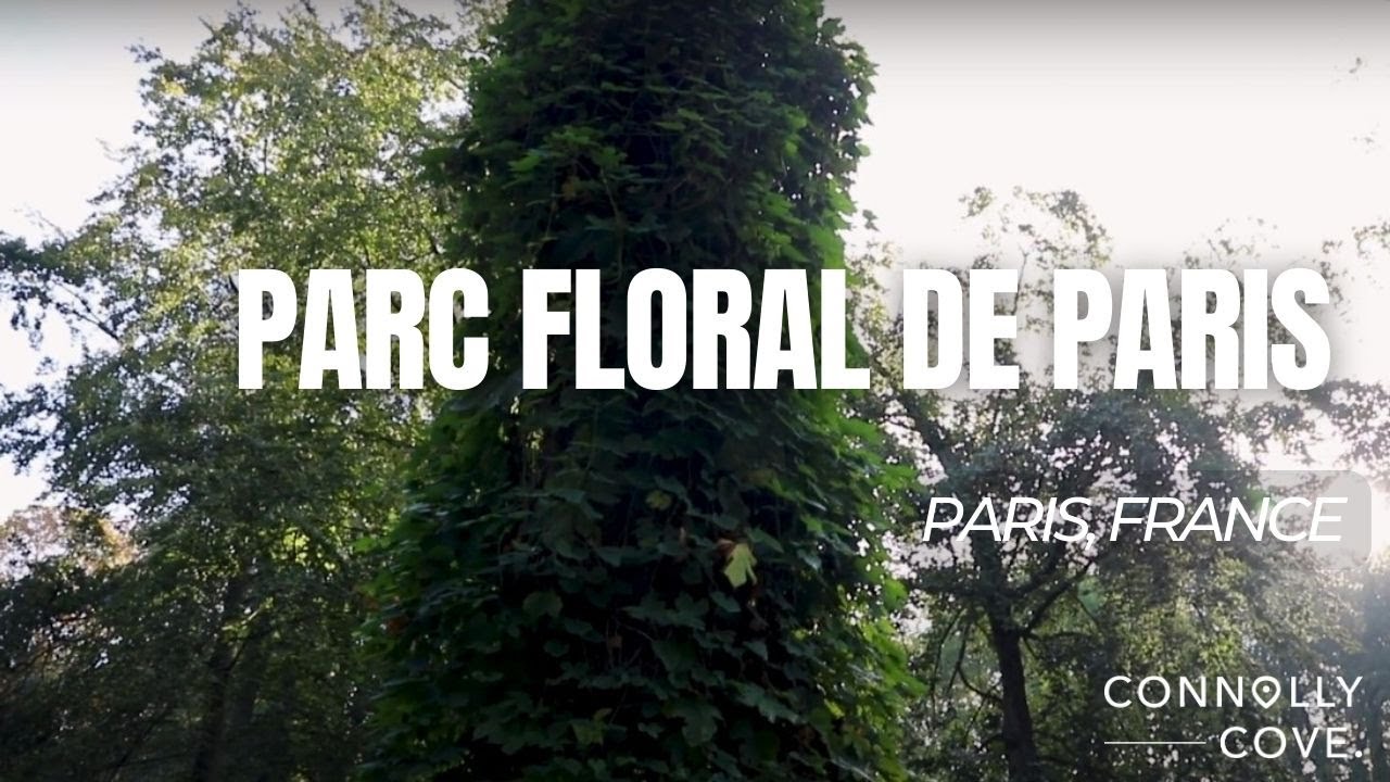 Parc Floral de Paris | Paris I France | Things To Do in Paris | Places Must Visit in France.