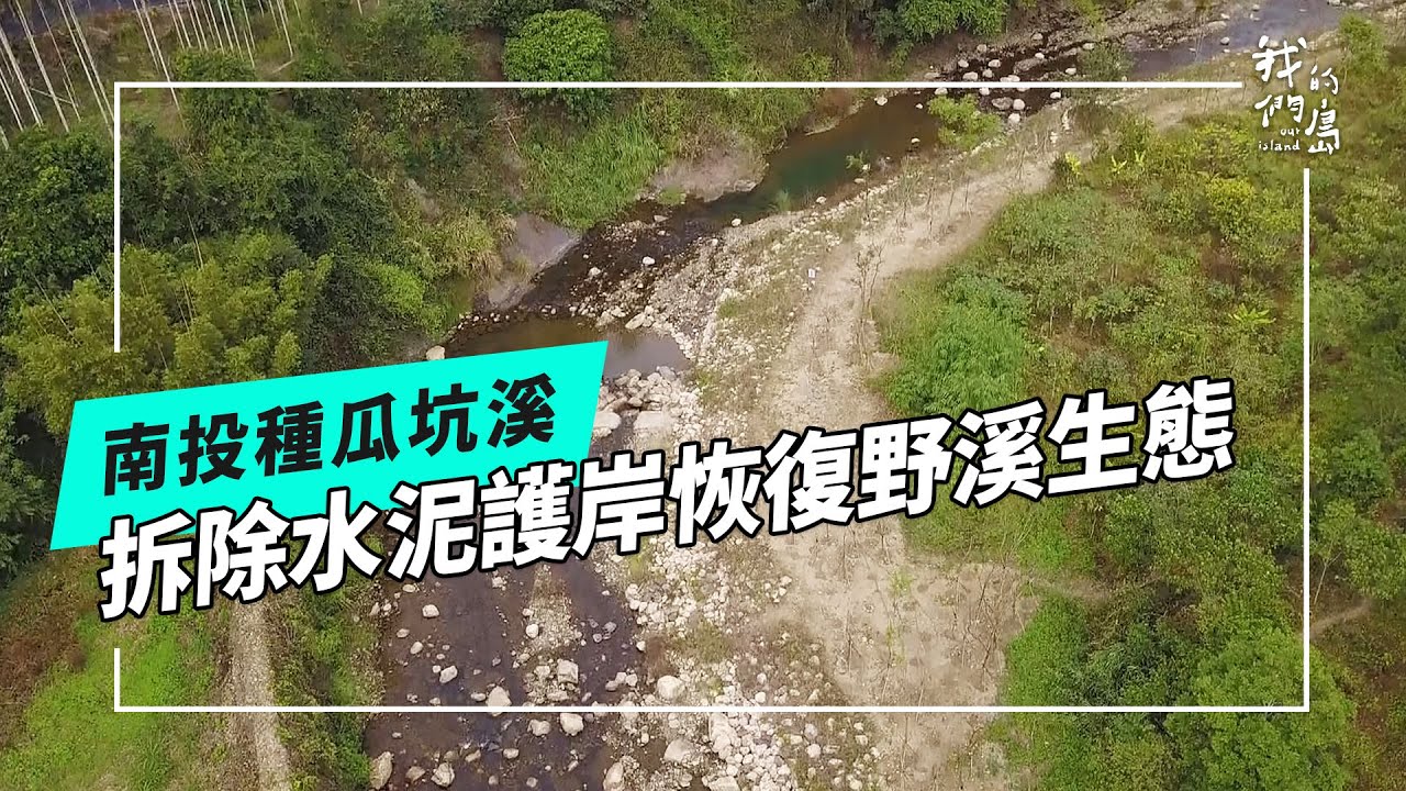 還河復野種瓜坑溪｜減法工程修復野溪生態(我們的島 第1239集 2024-01-15)
