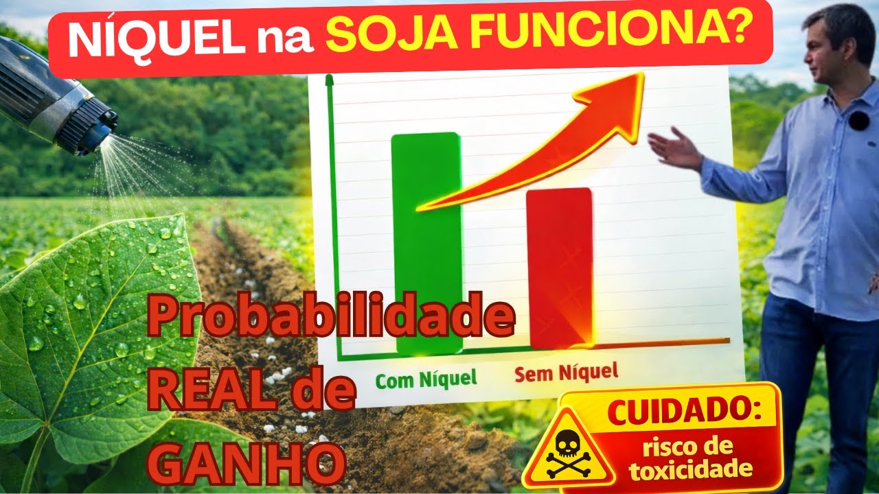 NÍQUEL na Soja Vale a Pena? Probabilidade REAL de Ganho em Produtividade!