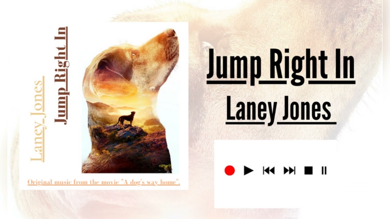 Laney Jones  -  Jump Right In
