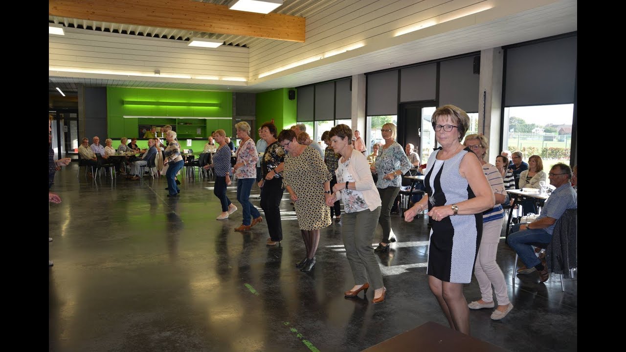 THE YOUNG ONES - THE SHADOOGIES - OKRA RUISELEDE  2017