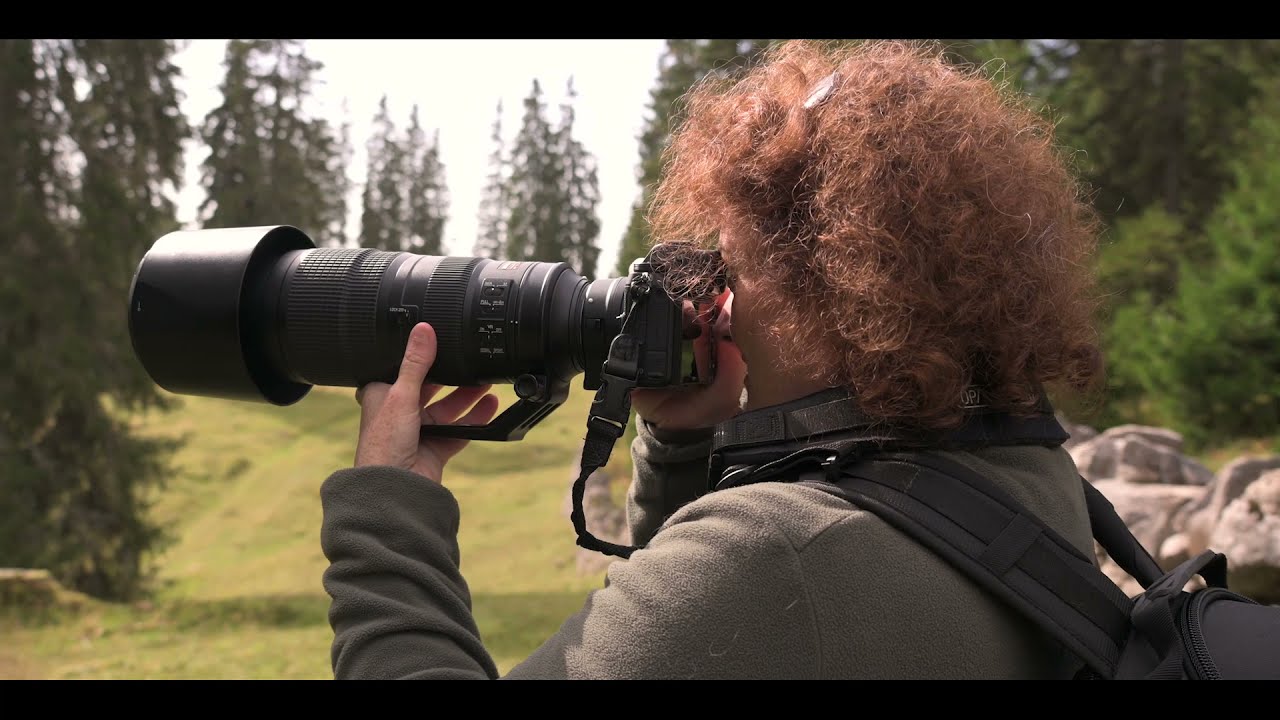 Les Nikon Z6II et Z7II en Macrophotographie et Image de Nature par Myriam Dupouy