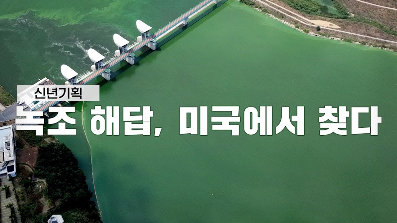 〈신년기획②〉 녹조 해답, 미국에서 찾다 - 뉴스타파