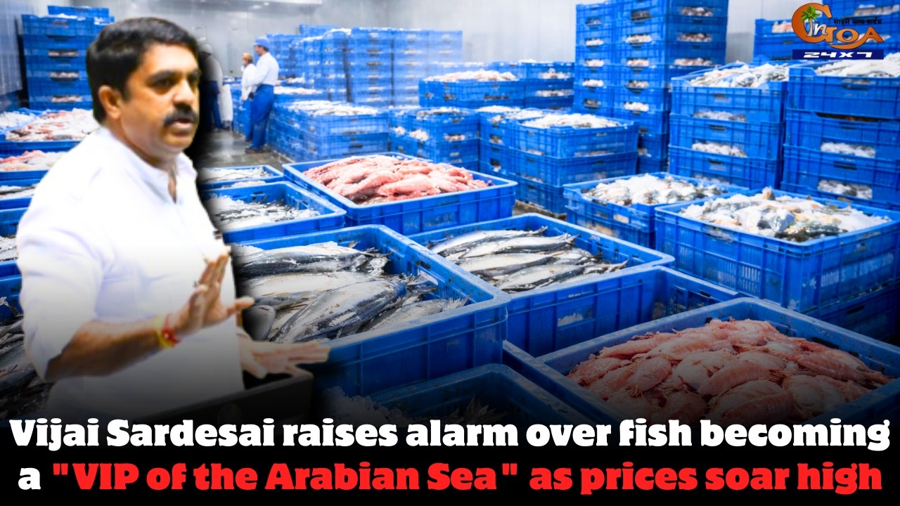 Vijai Sardesai raises alarm over fish becoming a 