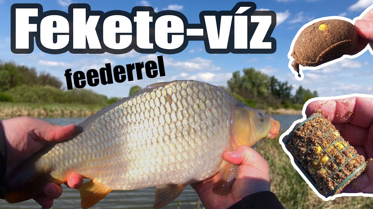 Ismét Fekete-víz, de ezúttal feederbottal - Dimakfishing 4.rész