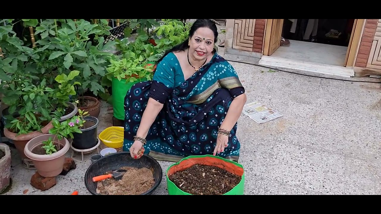 नए गमलो में धनिया कैसे उगाए , आईयै देखते हैं !! ,🌿🍀🌱 #garden #gardening #plants #family #farming 