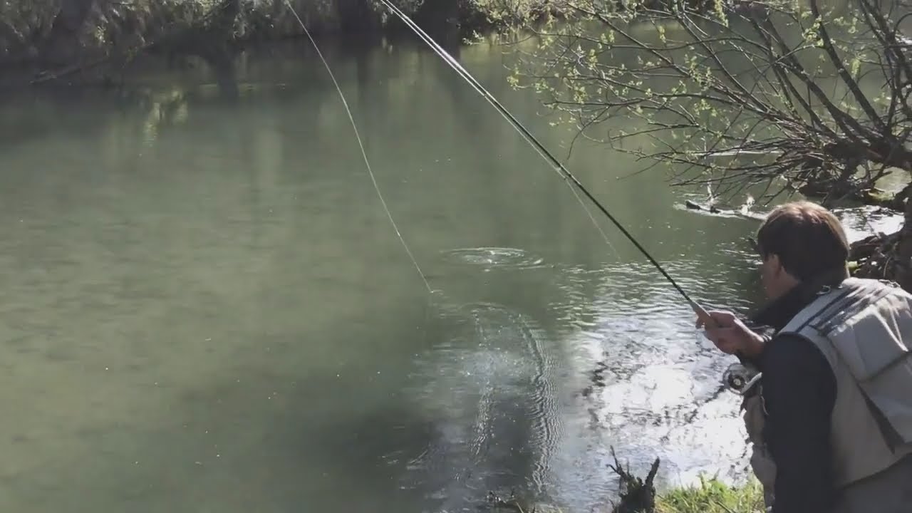 Forellenfischen in der Ammer