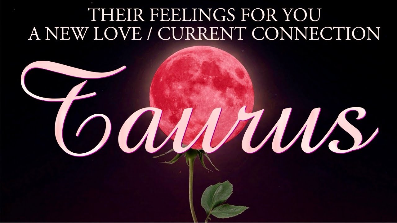 TAURUS love tarot ♉️ They Will Choose This Connection Taurus They Love You #tarot