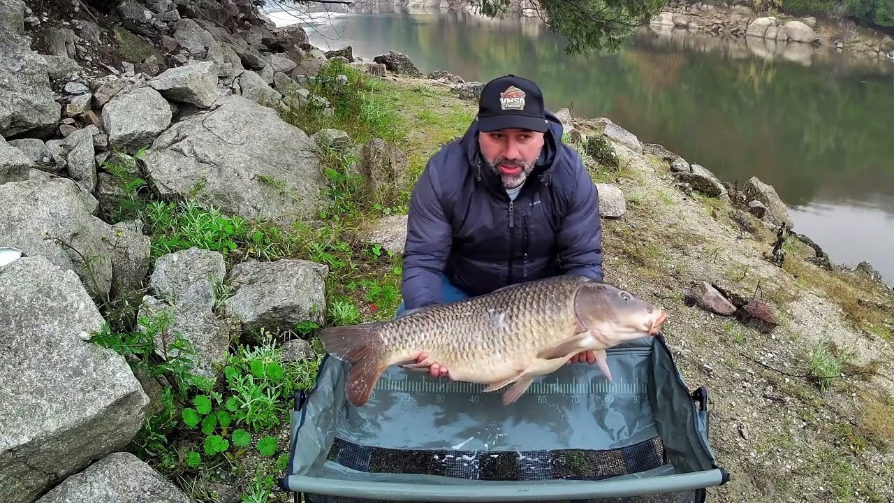 Captura de Carpa Gigante Selvagem: Novo Recorde Pessoal.