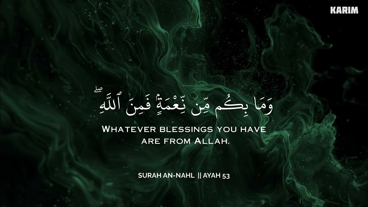 رح سمعك وقلبك بالقرآن❤️🎧 وأستمع لتلاوة هادئه بصوت محمد هشام | راحة نفسية😌 | Mohamed Hesham
