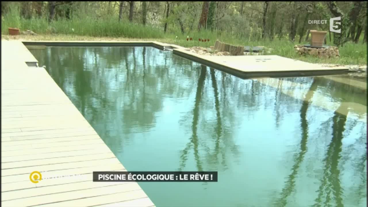 Piscine écologique : le rêve !