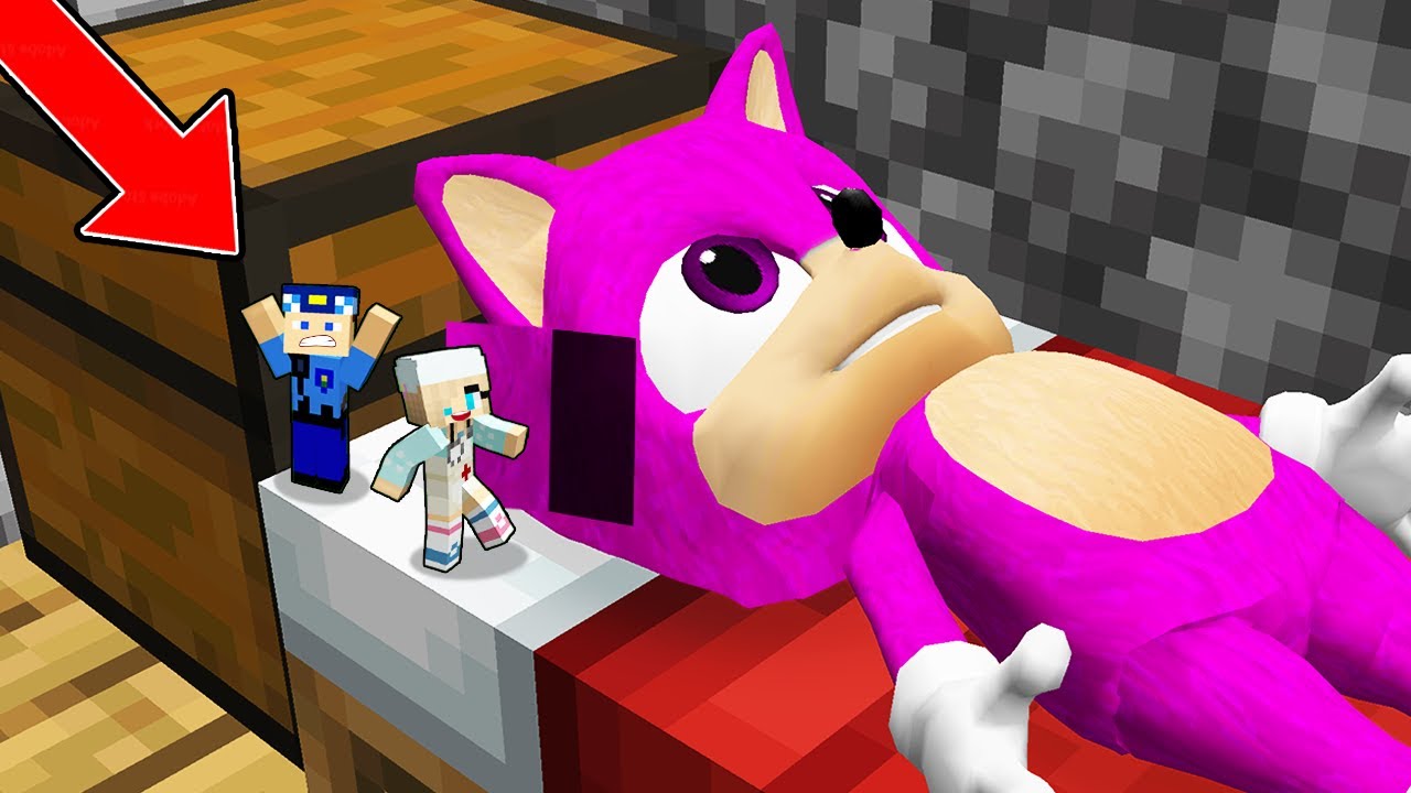 Kız Bebek Sonic'in Kafasının İçinde Ne Var? 😱 -Minecraft