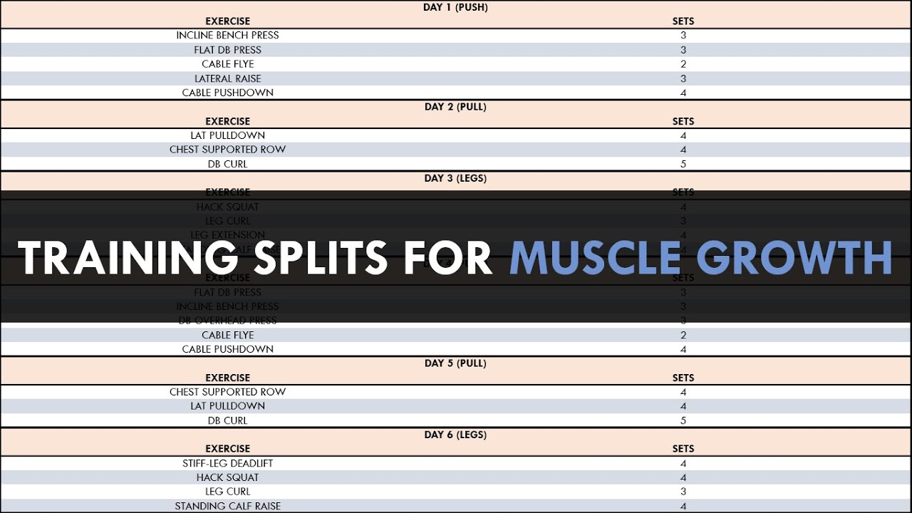 Training Splits for Muscle Growth | Creating a Hypertrophy Program