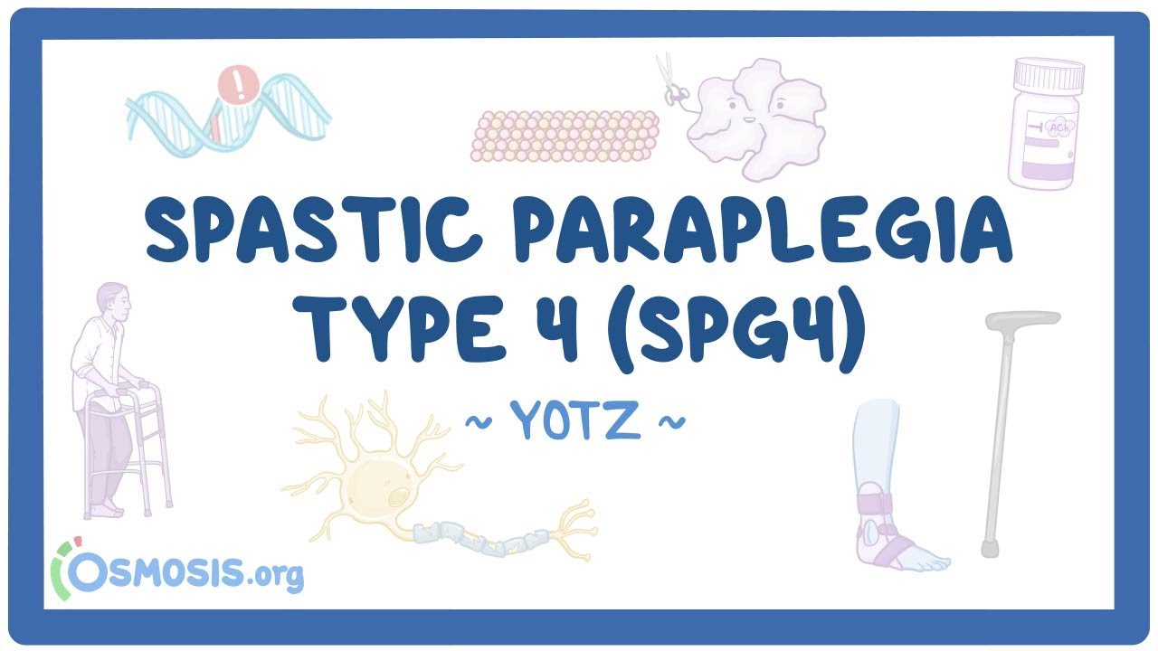 Spastic paraplegia type 4 (SPG4) (Year of the Zebra 2025)