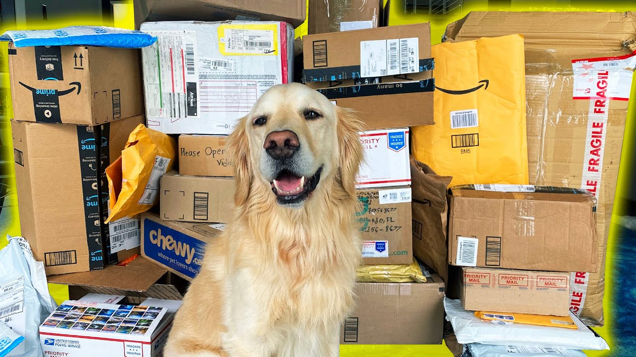 HUGE FAN MAIL PO BOX OPENING! (Super Cooper Sunday #251)