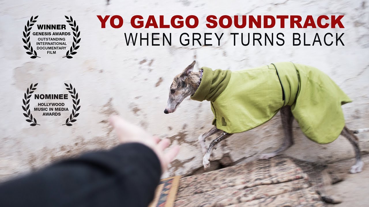 When grey turns black - Unseen material from the documentary Yo Galgo .