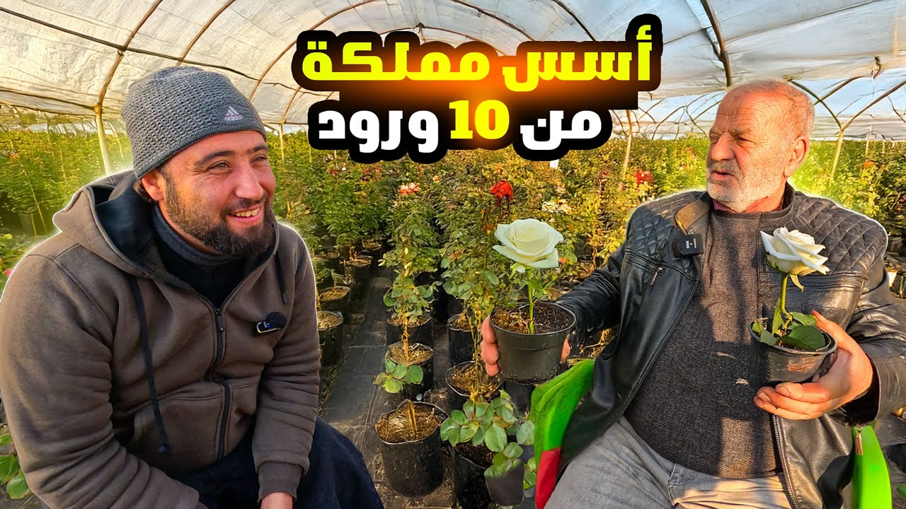 من 10 ورود انتج الملايين ، اذكا مزارع بسوريا