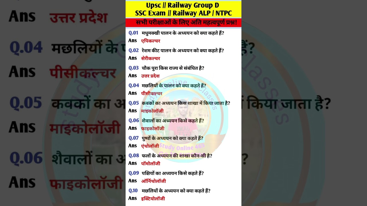 day 5 All exam important questions 