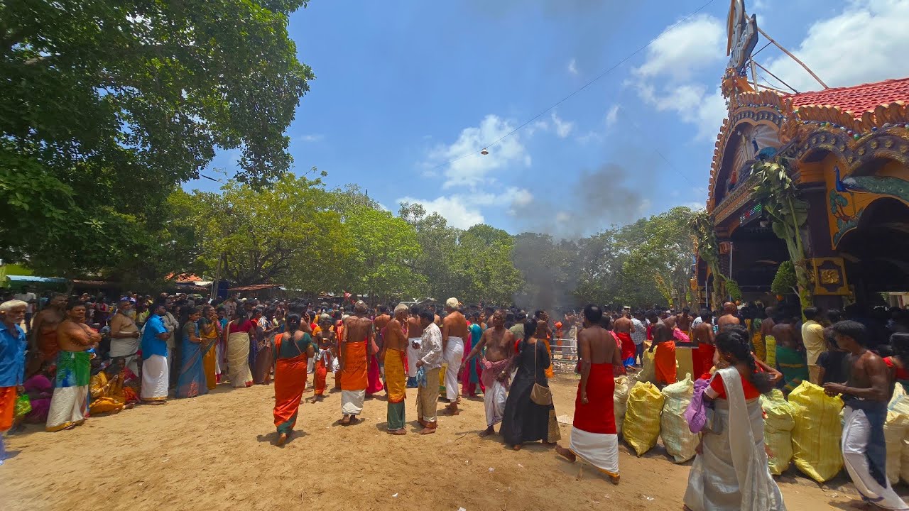 🛑கொடியேறிய செல்வச்சந்நிதி முருகன் காட்சியளிக்கும் முருகப் பெருமான்