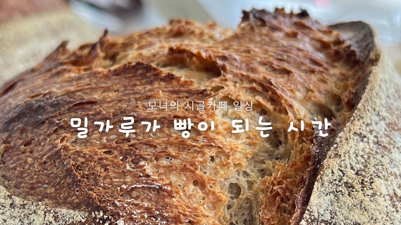 [Vlog] 물,밀,소금에서 빵이 되기까지 | 사워도우, 슬로푸드