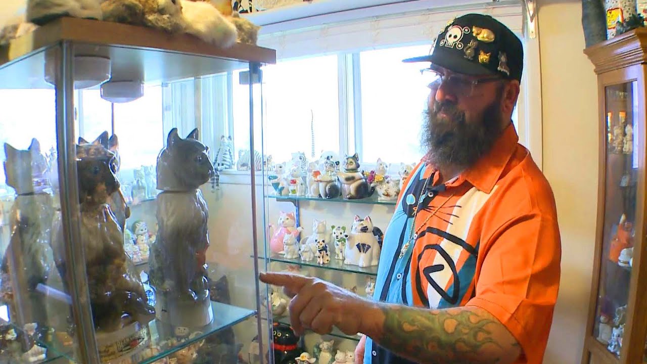 There Are Thousands of Cats Inside Cat &lsquo;Mewseum&rsquo;