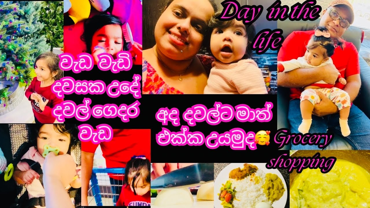 American Village Beautiful Life | මාත් එක්ක දවල්ට උයමු කවුද මේ රසට කැමති | Grocery Shopping |USA