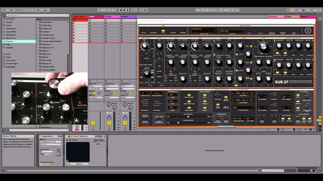 Moog Sub37 Editor Ableton Setup