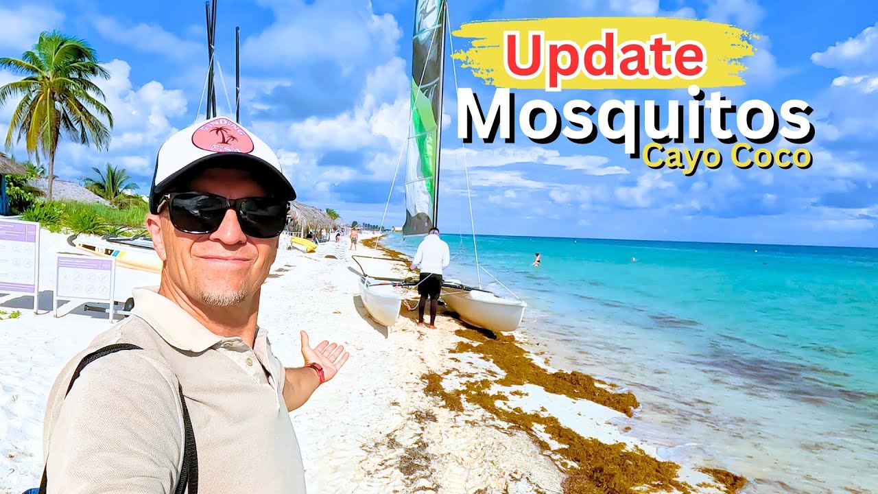 Обновление информации о путешествии на Кайо-Коко: Melia Costa Rey Al-Inclusive Resort, Куба