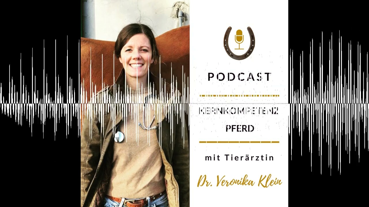 Schatz, wie war ich? - Kernkompetenz Pferd - Pferdegesundheit mit Tierärztin Dr. Veronika Klein