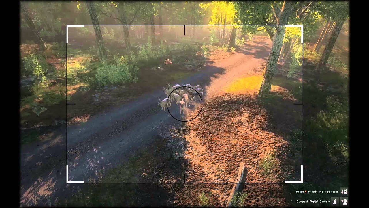 Coyote Hunting at Whitehart Island - theHunter PC game