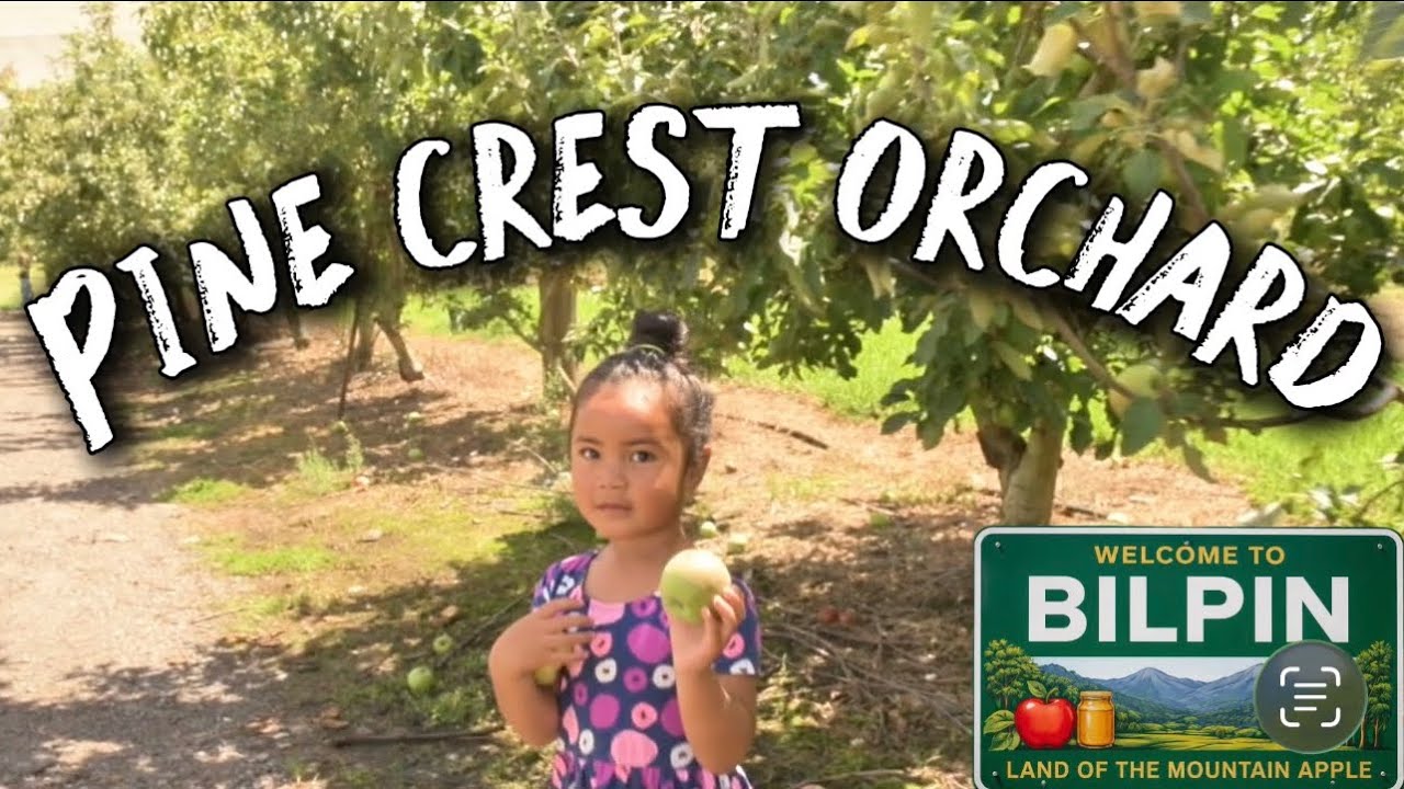 Come Apple picking with us | Pine Crest Orchard, Bilpin