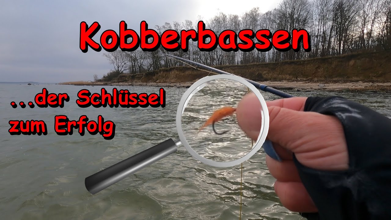 Fliegenfischen in MV - Ein Fisch für die Pfanne