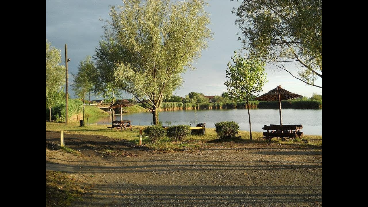 Carp Master Jezero Jegrička ( Četvrti Deo )